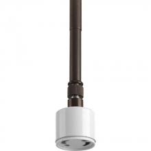  P5101-20 - One-light CFL Stem Mounted Pendant for use with Markor Shades
