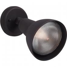 Outdoor Directional Lights in 