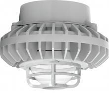 RAB Lighting HAZPLED42FG-DG - HAZLED 42W COOL LED PENDANT GREEN FROSTED GL DIE CAST GD