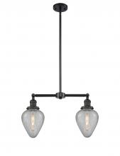 Innovations Lighting 209-BK-G165 - Geneseo - 2 Light - 21 inch - Matte Black - Stem Hung - Adjustable Island Light
