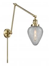 Innovations Lighting 238-AB-G165 - Geneseo - 1 Light - 8 inch - Antique Brass -Adjustable Swing Arm