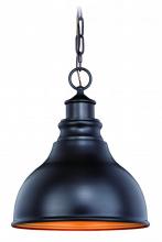  T0317 - Delano 11-in Outdoor Pendant Oil Burnished Bronze and Light Gold