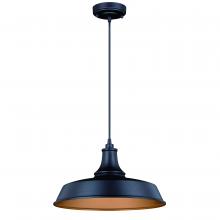  T0373 - Dorado 15-in Outdoor Pendant Dark Bronze and Light Gold