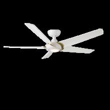 Ceiling Fans